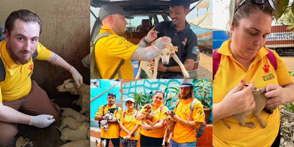 mission-rabies-mumbai-2024