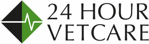 24hours Vet Surrey